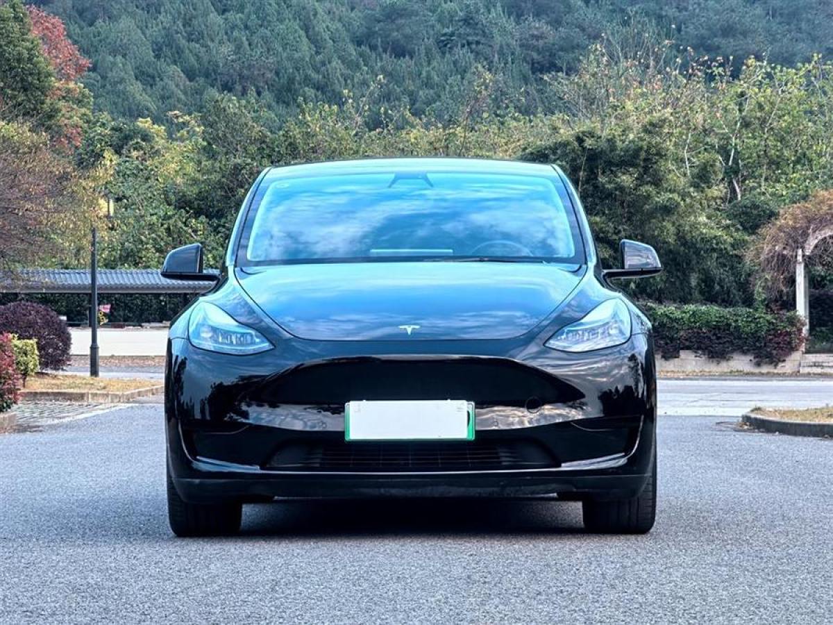 特斯拉 Model 3  2022款 后輪驅(qū)動版圖片