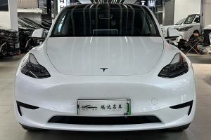 Model 3 特斯拉 改款 长续航后轮驱动版