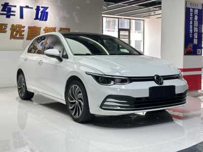 2021年3月 大眾 高爾夫 280TSI DSG Pro 首發(fā)版圖片