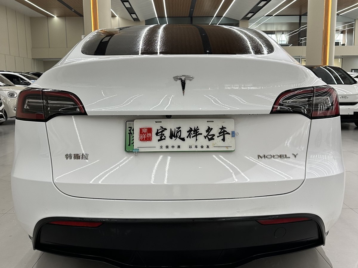 特斯拉 Model 3  2020款 改款 長續(xù)航后輪驅(qū)動版圖片