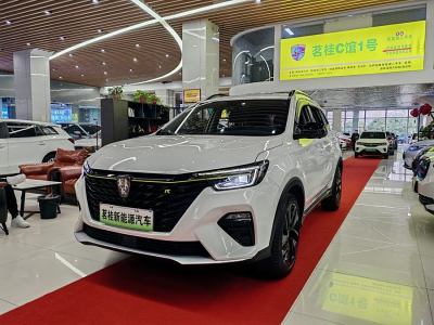 2021年6月 榮威 RX5新能源 ePLUS 國潮榮麟豪華版圖片