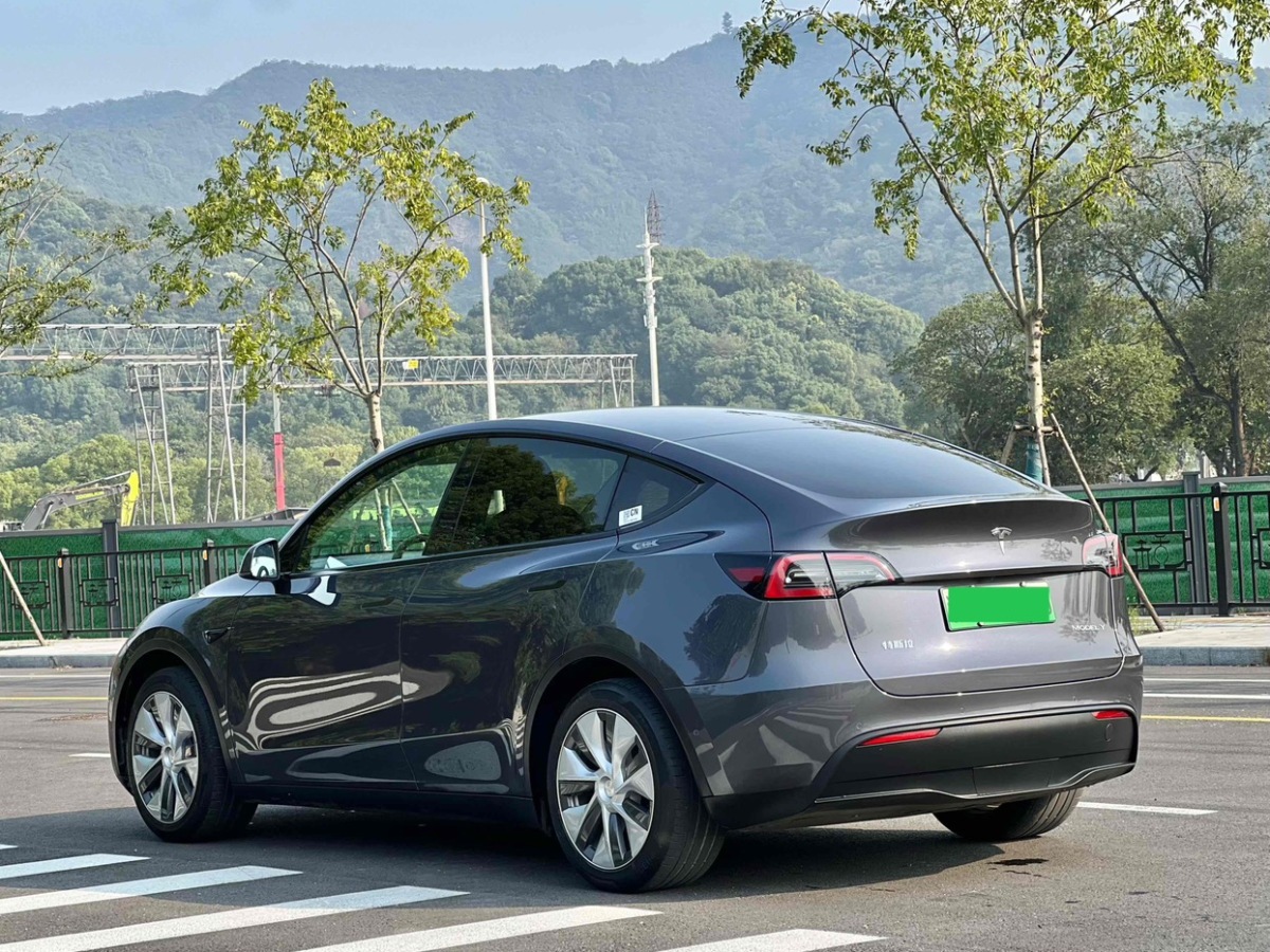 特斯拉 Model Y  2021款 改款 標(biāo)準(zhǔn)續(xù)航后驅(qū)升級(jí)版圖片