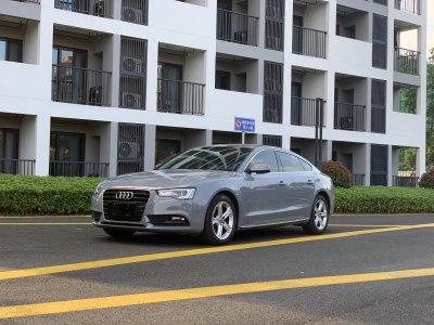 2014年11月 奧迪 奧迪A5(進(jìn)口) Sportback 45 TFSI圖片