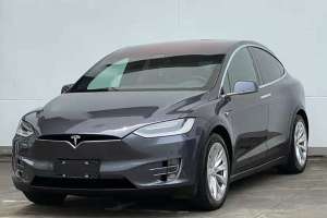 Model X 特斯拉 Model X 75D