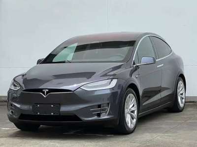 2017年5月 特斯拉 Model X Model X 75D圖片