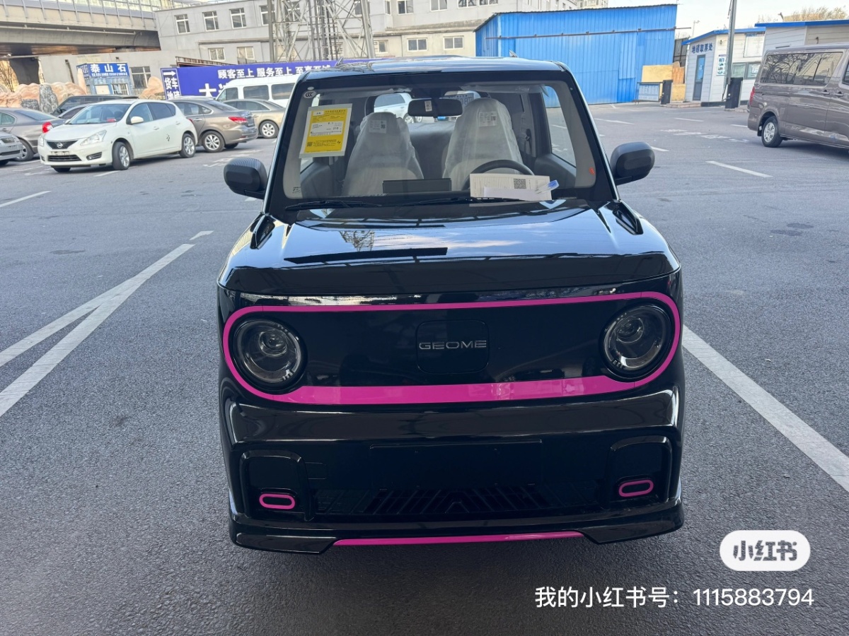 吉利 熊貓mini  2024款 200km 熊貓騎士圖片