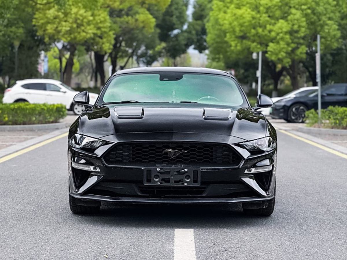 福特 Mustang  2019款 2.3L EcoBoost圖片