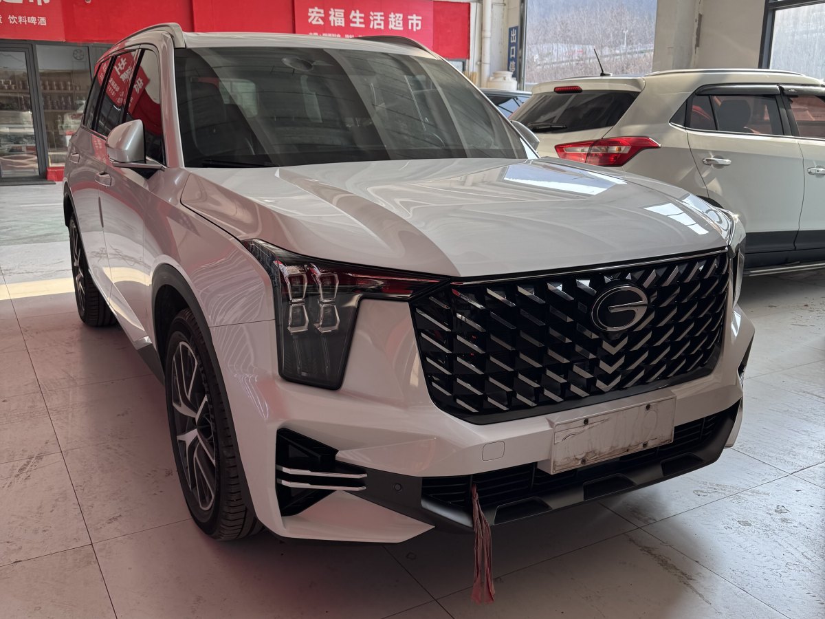 廣汽傳祺 GS8  2024款 領(lǐng)航系列 2.0TGDI 兩驅(qū)豪華智聯(lián)版圖片