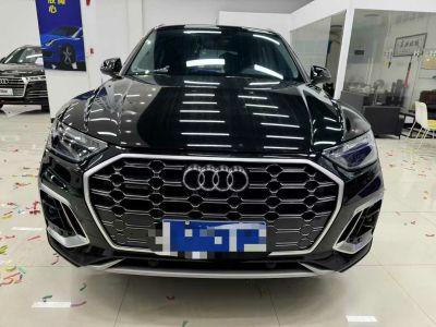 2022年1月 奧迪 奧迪Q5 e-tron 40 e-tron 星耀型 機(jī)甲套裝圖片