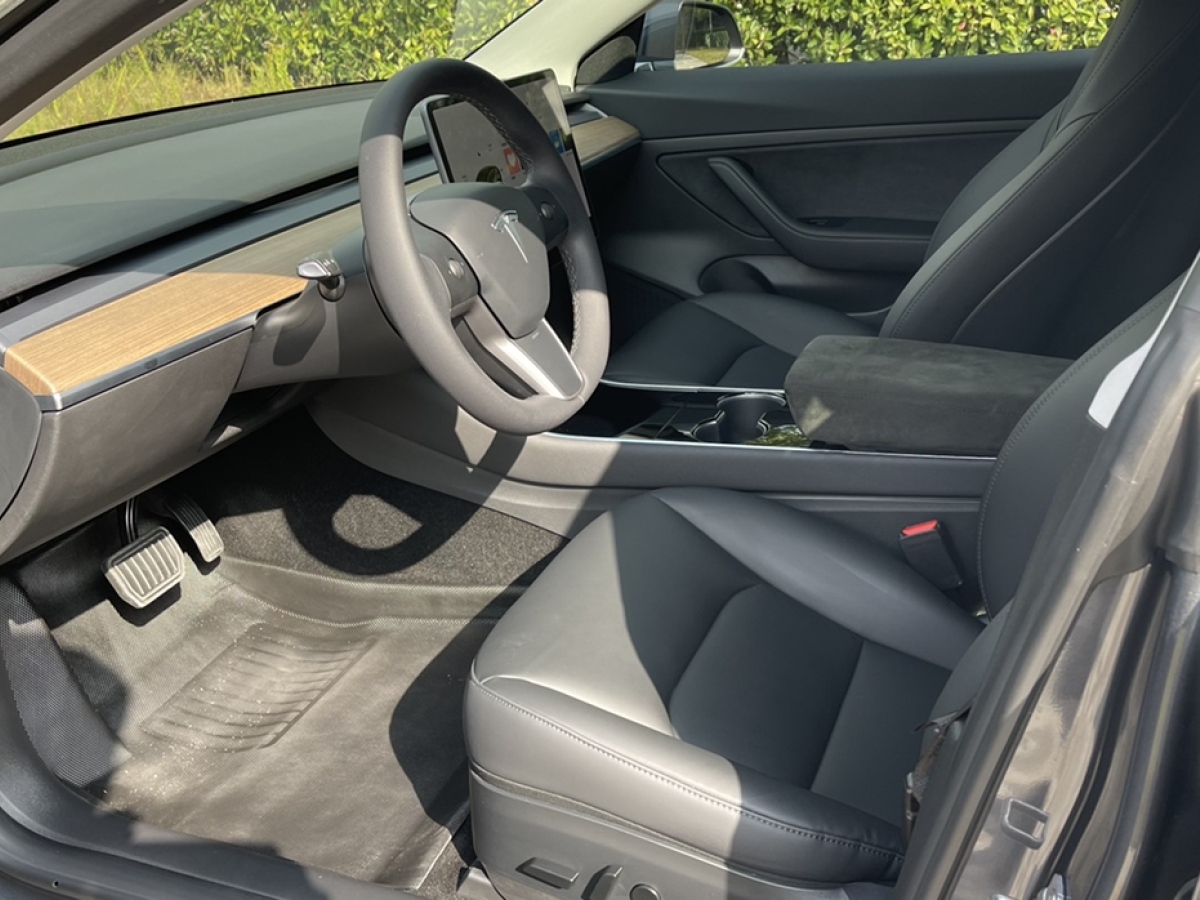 特斯拉 Model 3  2019款 标准续航后驱升级版图片