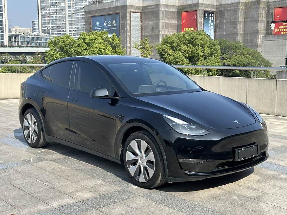 特斯拉 Model Y  2021款 長(zhǎng)續(xù)航全輪驅(qū)動(dòng)版 3D7圖片