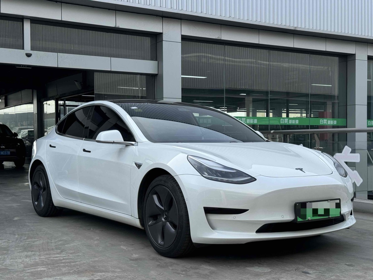 特斯拉 Model 3  2020款 改款 長續(xù)航后輪驅(qū)動版圖片