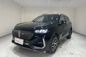 拿铁DHT-PHEV WEY 1.5T 两驱大杯