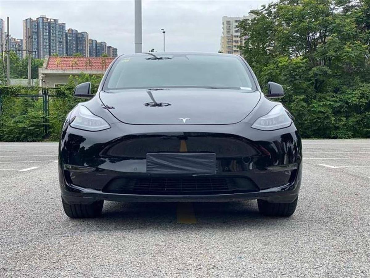 特斯拉 Model Y  2021款 改款 標(biāo)準(zhǔn)續(xù)航后驅(qū)升級版圖片