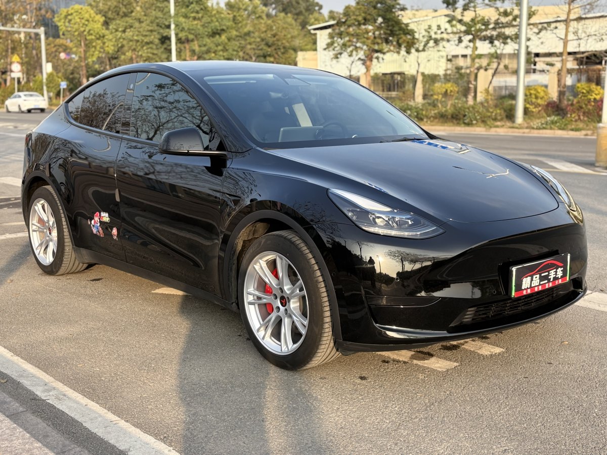 特斯拉 Model 3  2020款 改款 長續(xù)航后輪驅動版圖片