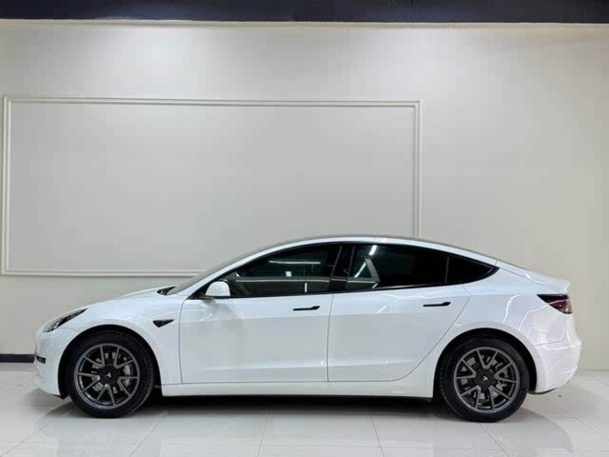 特斯拉 Model 3  2021款 改款 標(biāo)準(zhǔn)續(xù)航后驅(qū)升級(jí)版圖片