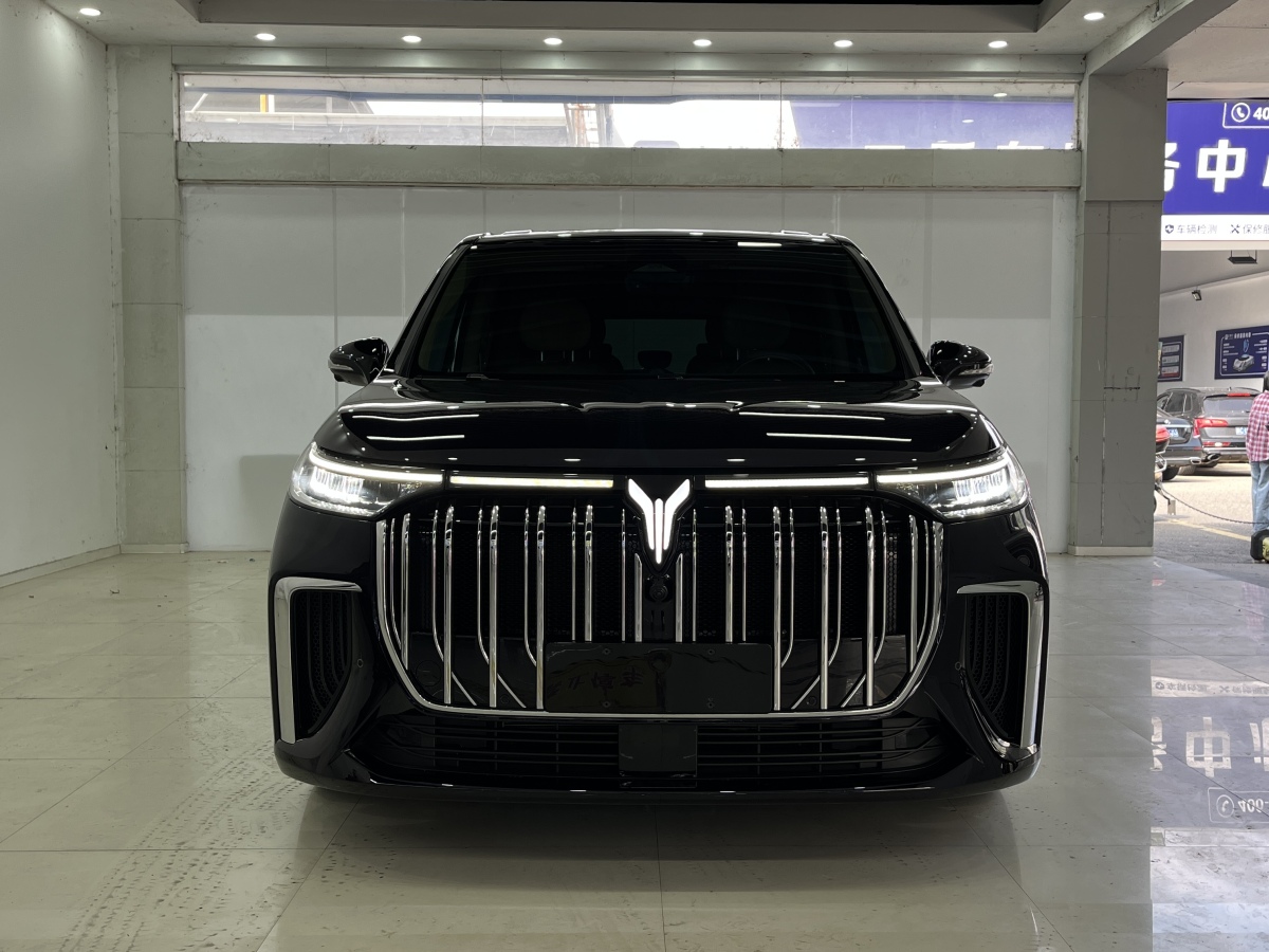 嵐圖 夢想家  2024款 PHEV 超長續(xù)航尊貴版圖片