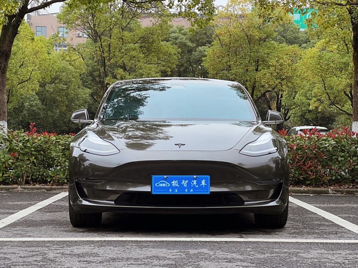 特斯拉 Model 3  2020款 改款 長續(xù)航后輪驅(qū)動(dòng)版圖片