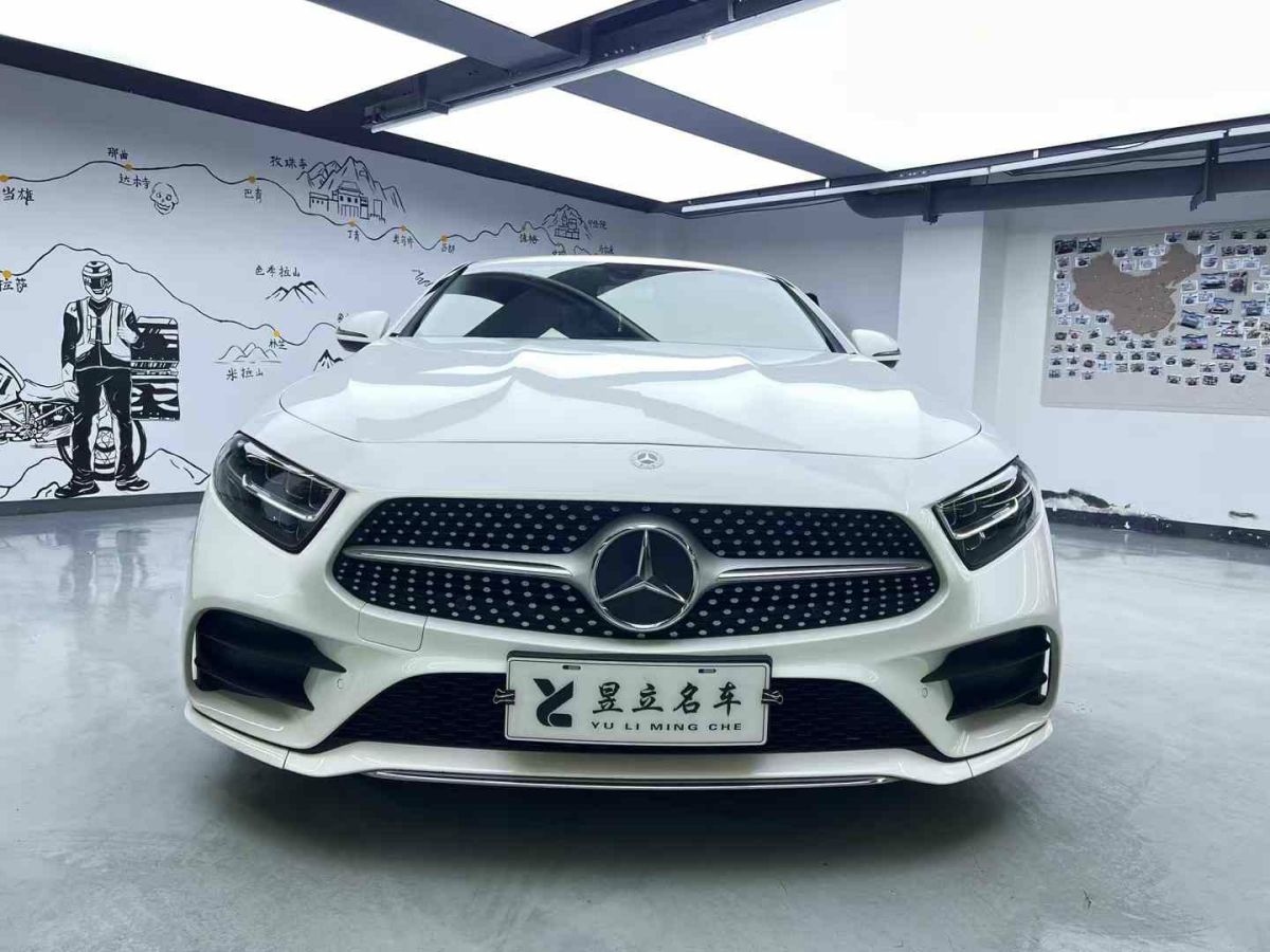 奔馳 奔馳CLS級  2021款 CLS 260圖片