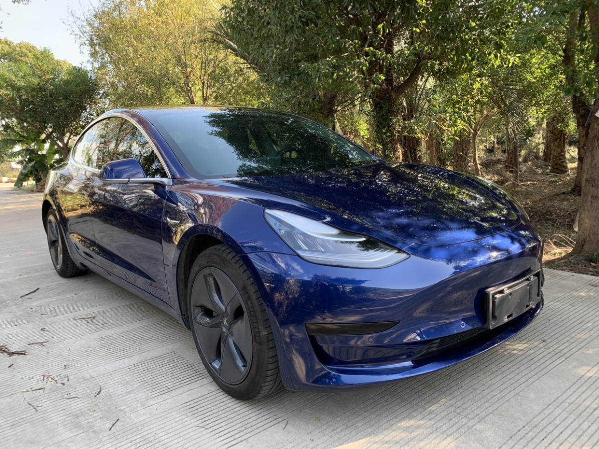 特斯拉 Model 3  2019款 標準續(xù)航后驅(qū)升級版圖片