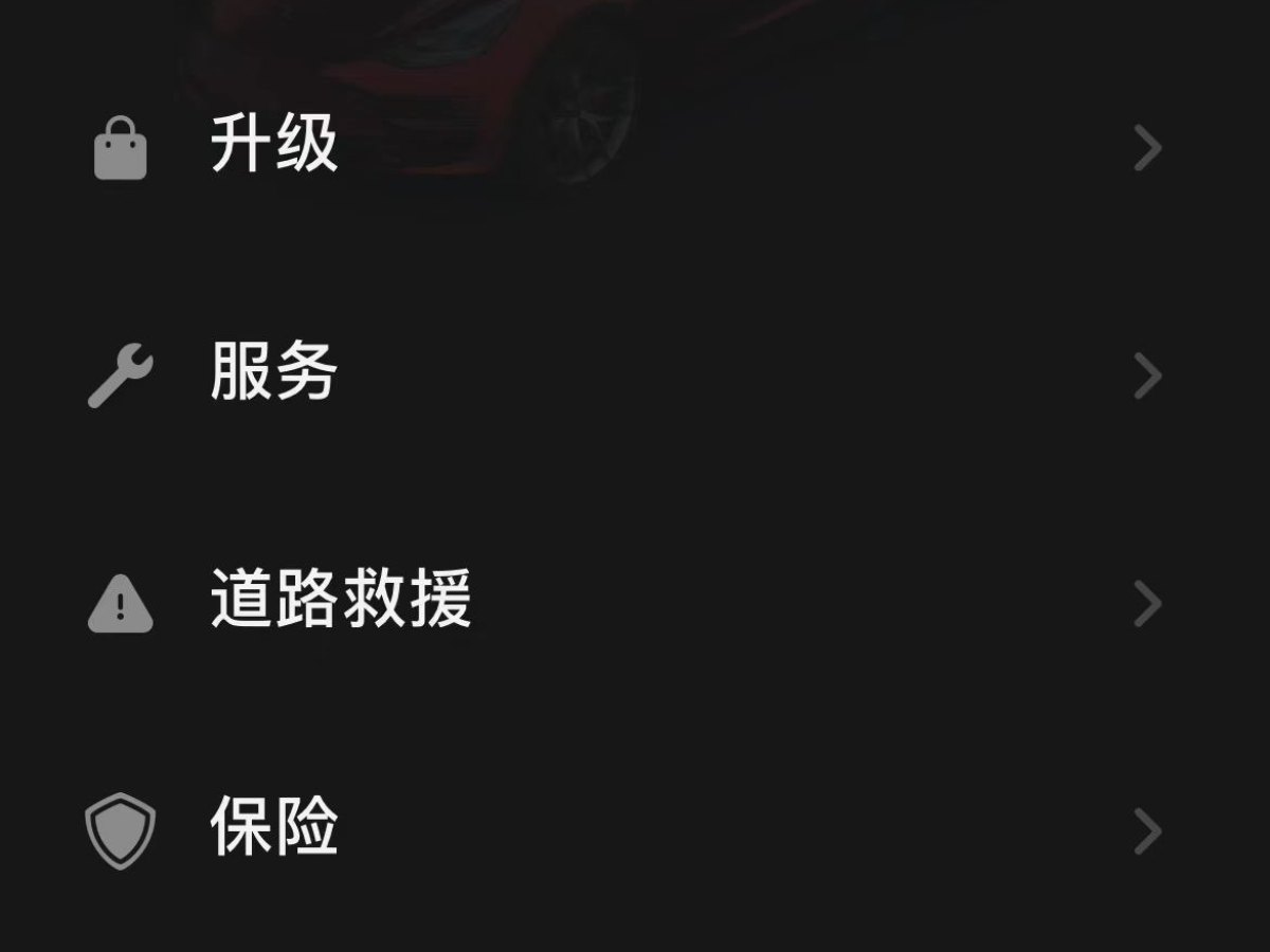 特斯拉 Model Y  2021款 改款二 Performance高性能全轮驱动版图片