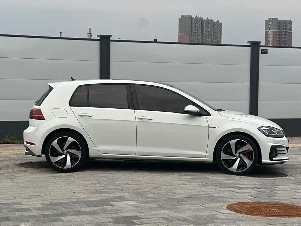 2019年6月大眾 高爾夫  2019款 2.0TSI GTI