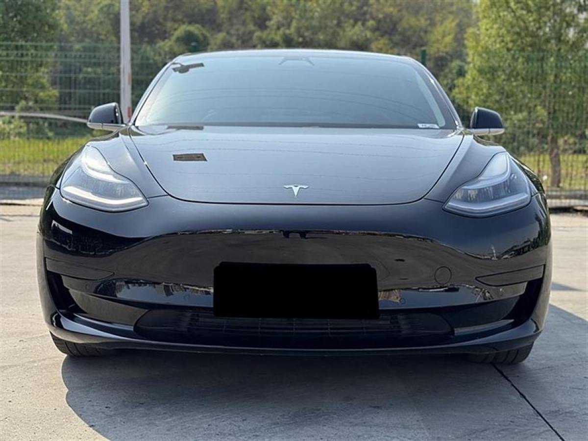 特斯拉 Model 3  2020款 改款 標準續(xù)航后驅升級版圖片