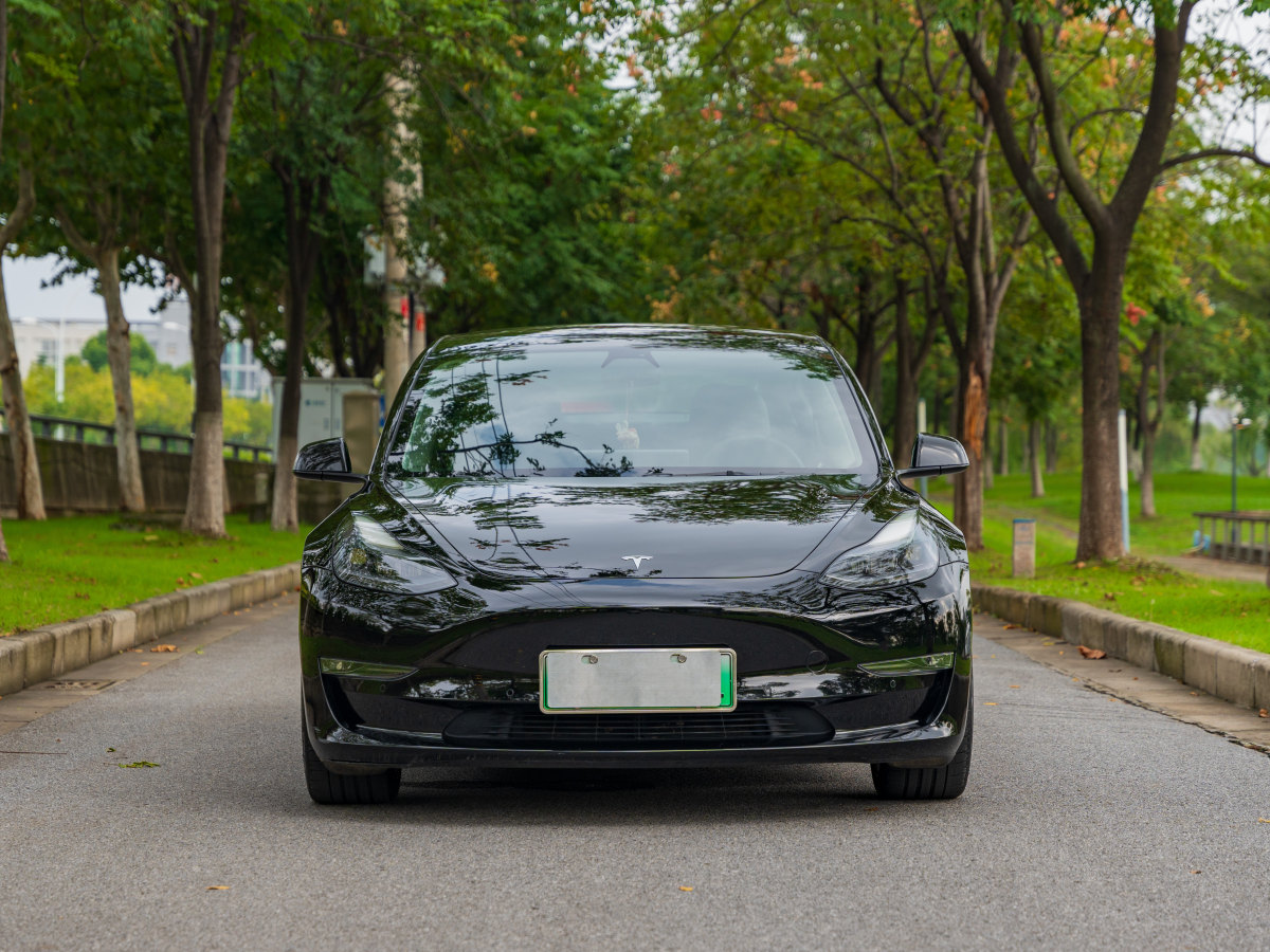 特斯拉 Model 3  2019款 Performance高性能全輪驅(qū)動版圖片