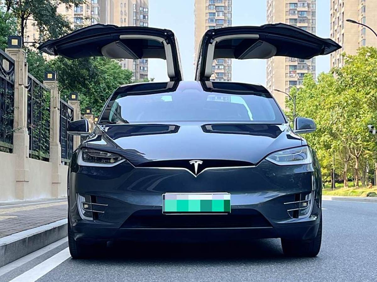 2018年5月特斯拉 Model X  2017款 Model X 100D 長續(xù)航版