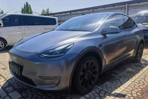 Model Y 特斯拉 標(biāo)準(zhǔn)續(xù)航后驅(qū)版
