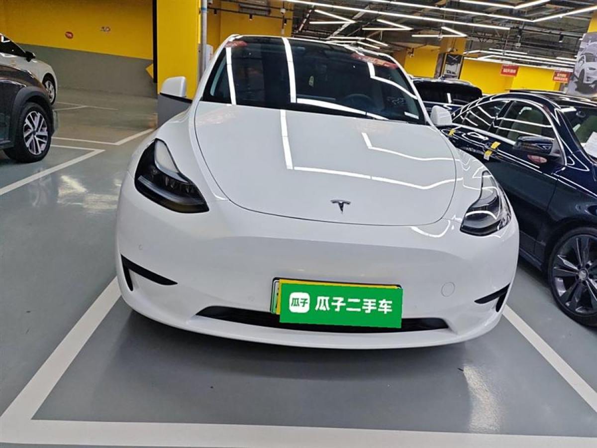 特斯拉 Model Y  2020款 改款 長續(xù)航后輪驅(qū)動版圖片