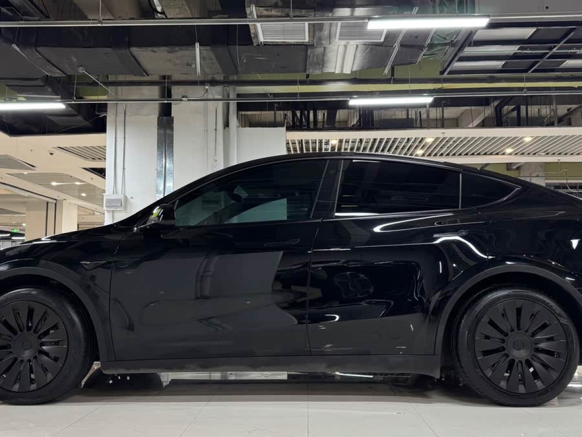 特斯拉 Model Y  2021款 標(biāo)準(zhǔn)續(xù)航后驅(qū)版圖片