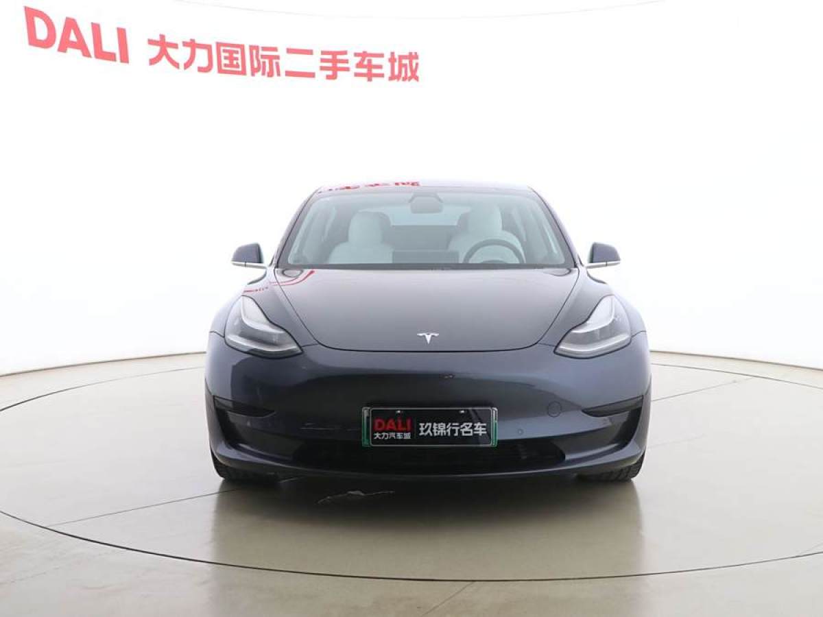 特斯拉 Model 3  2019款 標(biāo)準(zhǔn)續(xù)航后驅(qū)升級(jí)版圖片