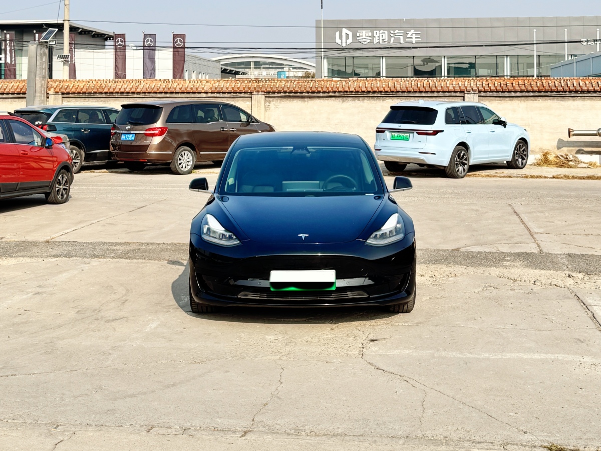 特斯拉 Model Y  2020款 改款 標(biāo)準(zhǔn)續(xù)航后驅(qū)升級版圖片