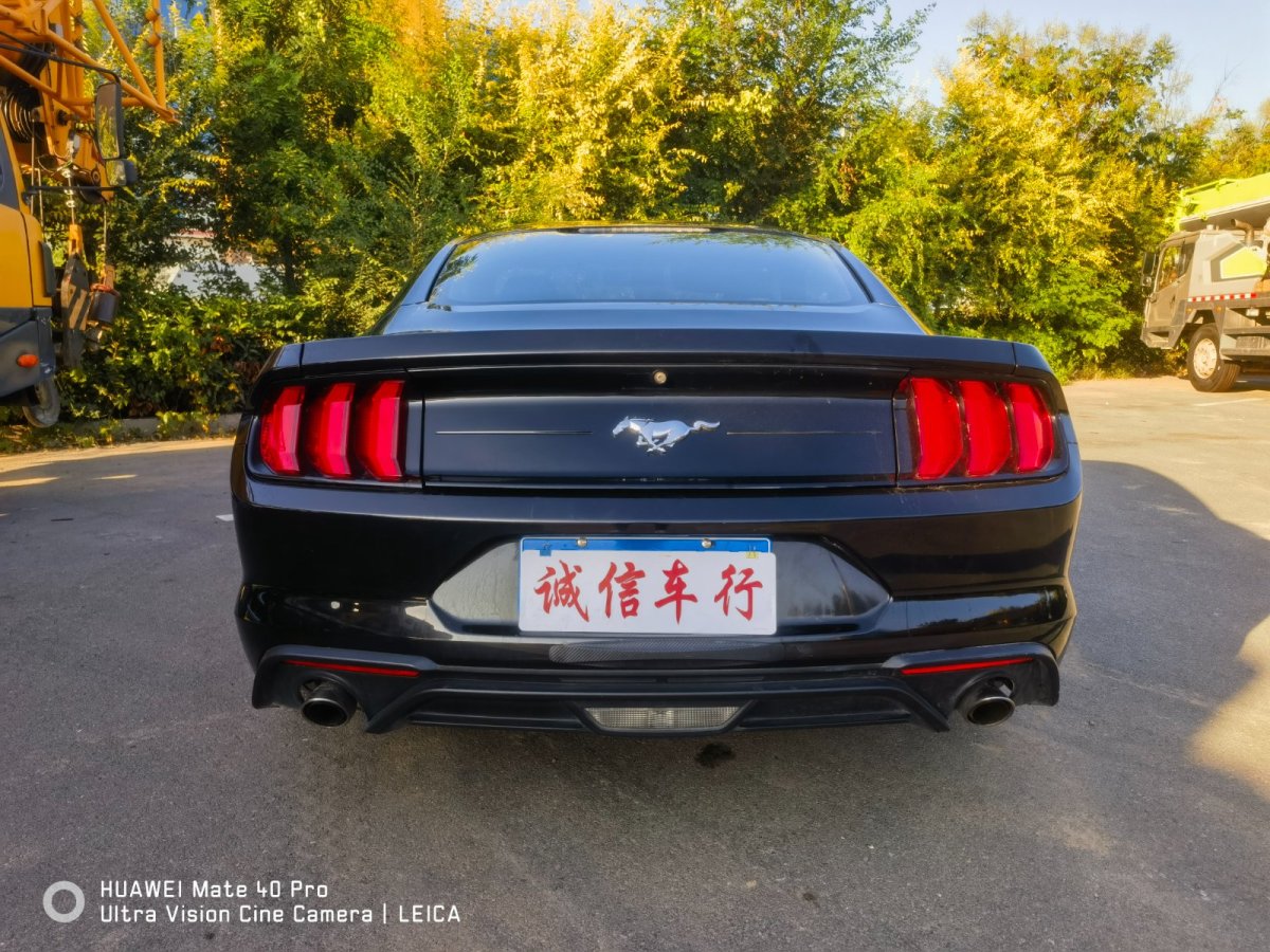 福特 Mustang  2019款 2.3L EcoBoost圖片