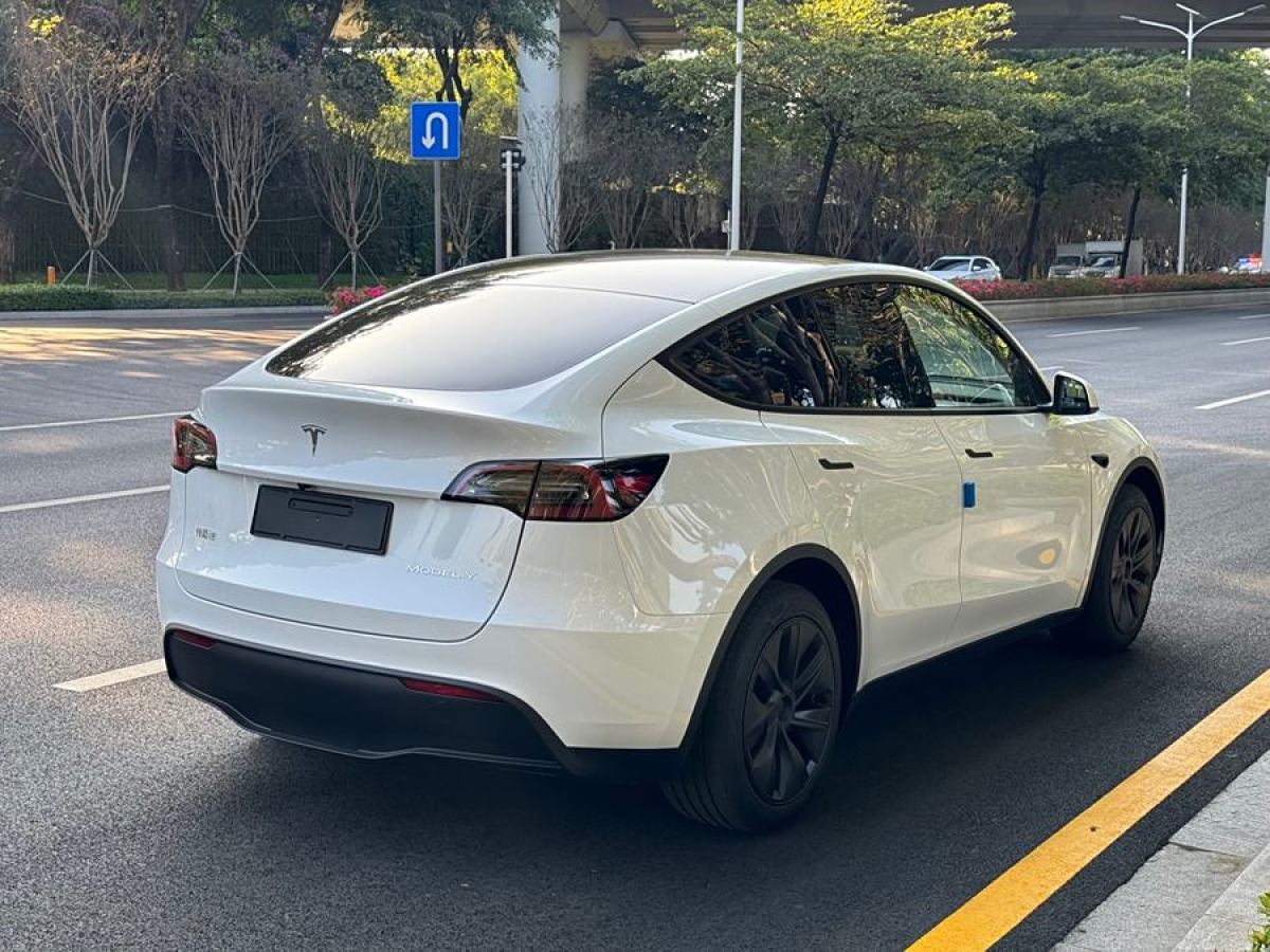 特斯拉 Model 3  2020款 改款 長續(xù)航后輪驅(qū)動版圖片