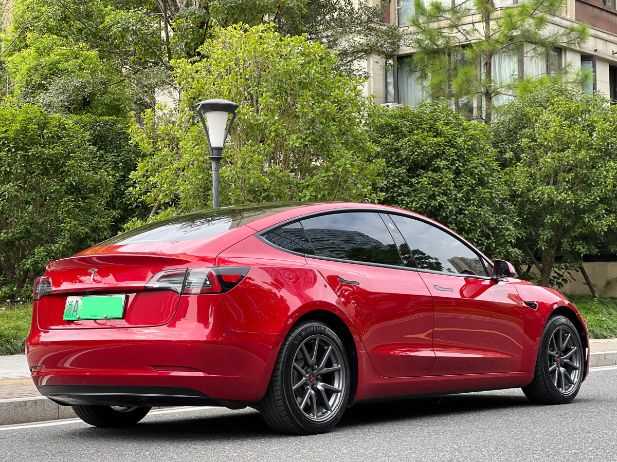 特斯拉 Model 3  2019款 標(biāo)準(zhǔn)續(xù)航后驅(qū)升級版圖片