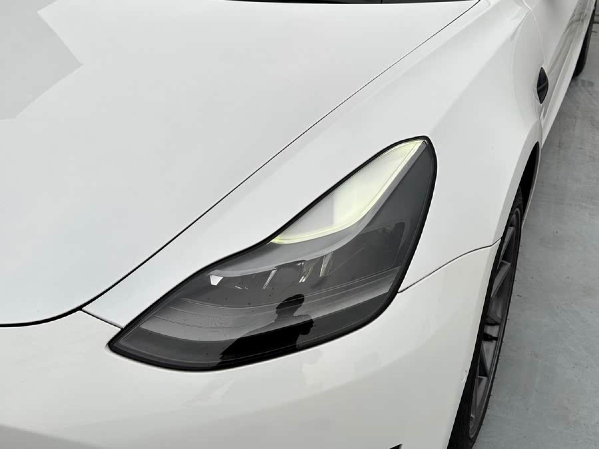 特斯拉 Model 3  2021款 標準續(xù)航后驅升級版 3D6圖片