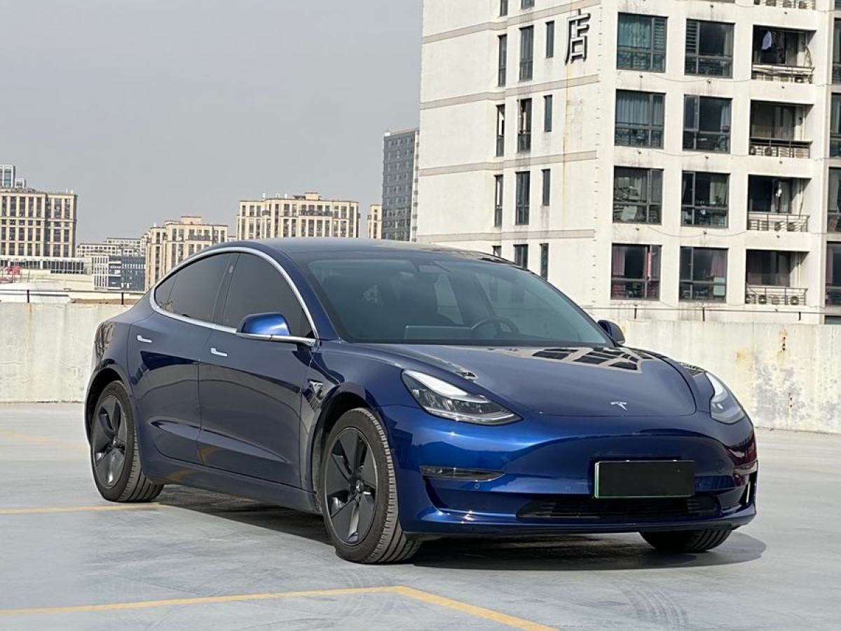 特斯拉 Model 3  2019款 長續(xù)航后驅(qū)版圖片