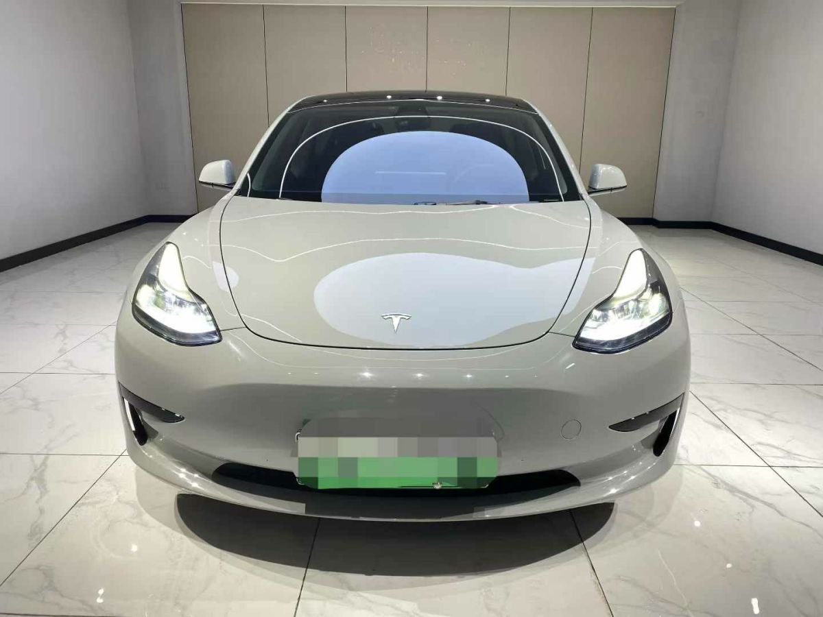 特斯拉 Model S  2023款 三電機(jī)全輪驅(qū)動(dòng) Plaid版圖片