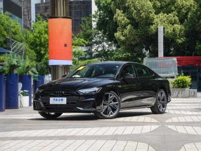 2024年2月 奧迪 奧迪A7L 45 TFSI quattro S-line 黑武士版圖片