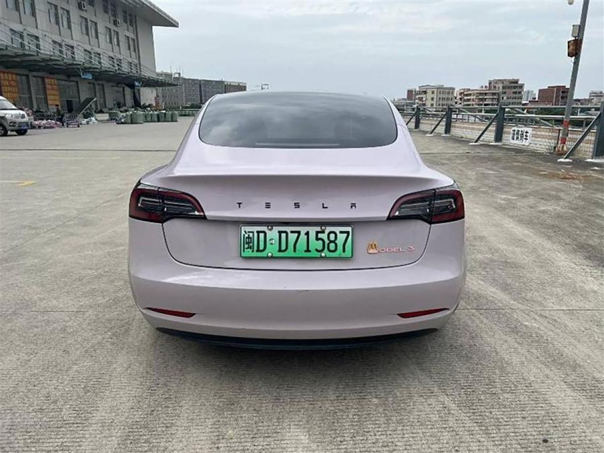 特斯拉 Model 3  2021款 改款 標準續(xù)航后驅升級版圖片