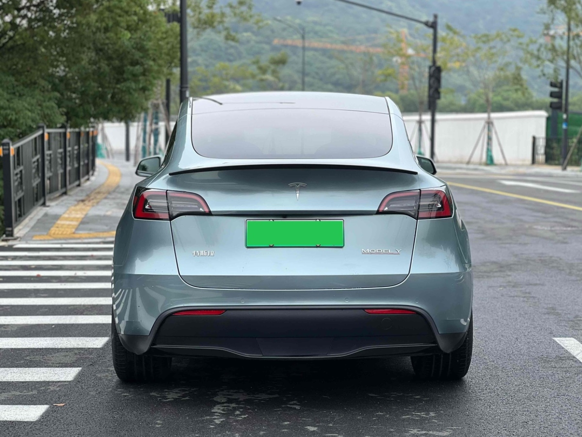 特斯拉 Model Y  2022款 Performance高性能全輪驅(qū)動版圖片