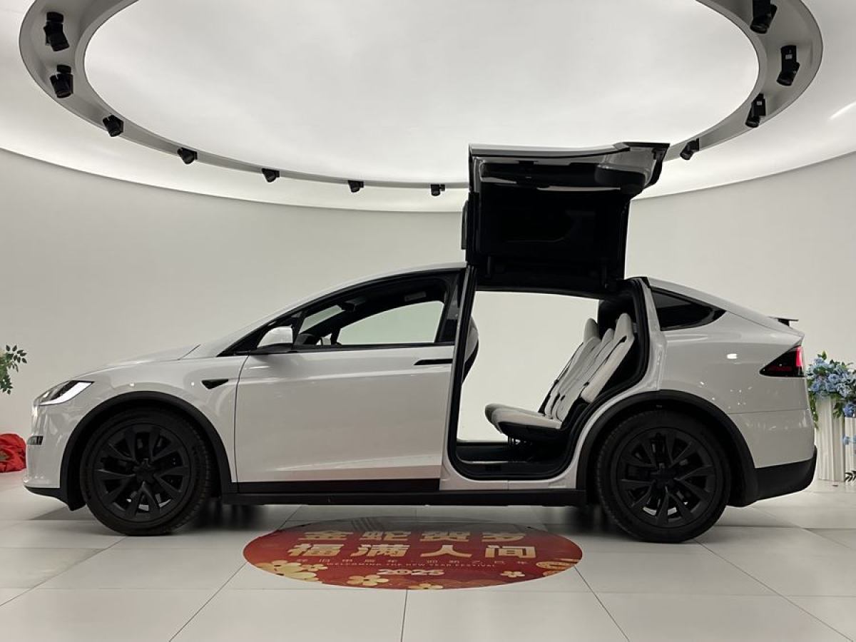 特斯拉 Model X  2023款 雙電機(jī)全輪驅(qū)動(dòng)版圖片