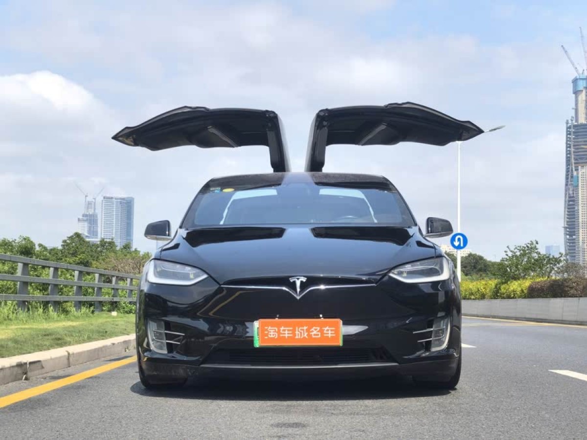 特斯拉 Model X  2016款 Model X 75D圖片