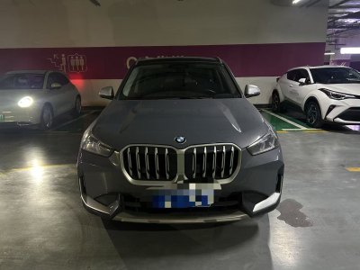 2023年11月 寶馬 寶馬X1 xDrive25Li X設(shè)計(jì)套裝圖片