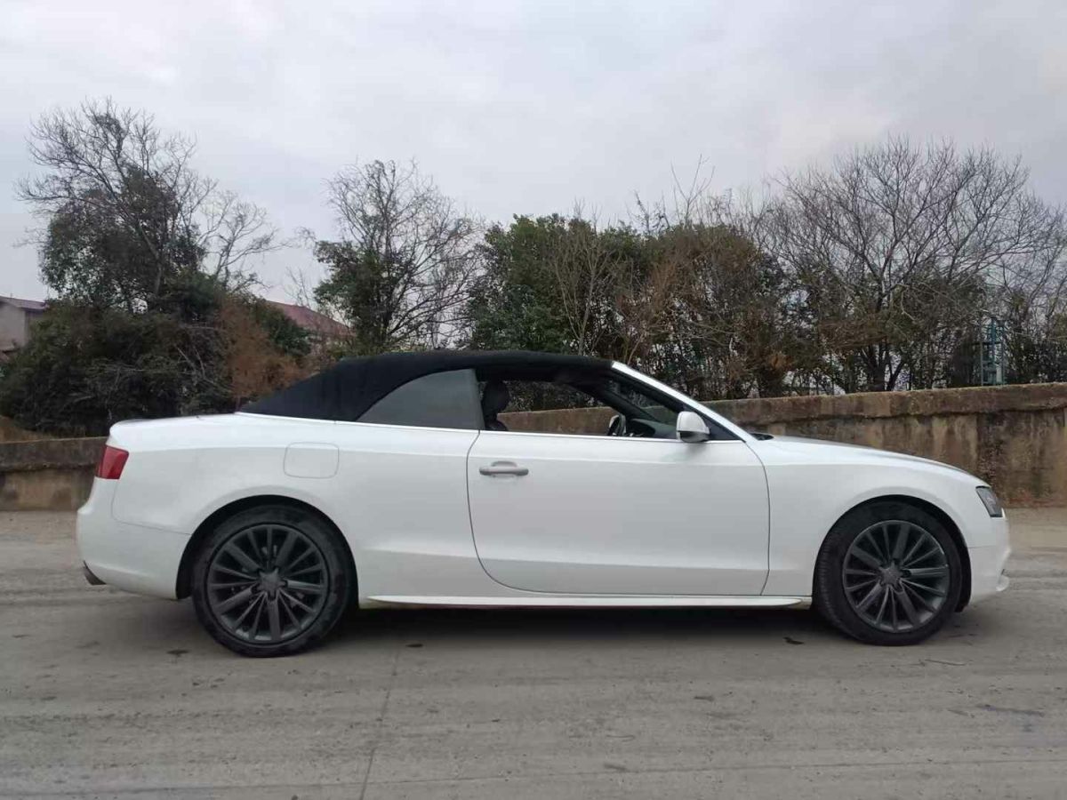 奧迪 奧迪A5  2012款 A5 Cabriolet 2.0T Quattro圖片