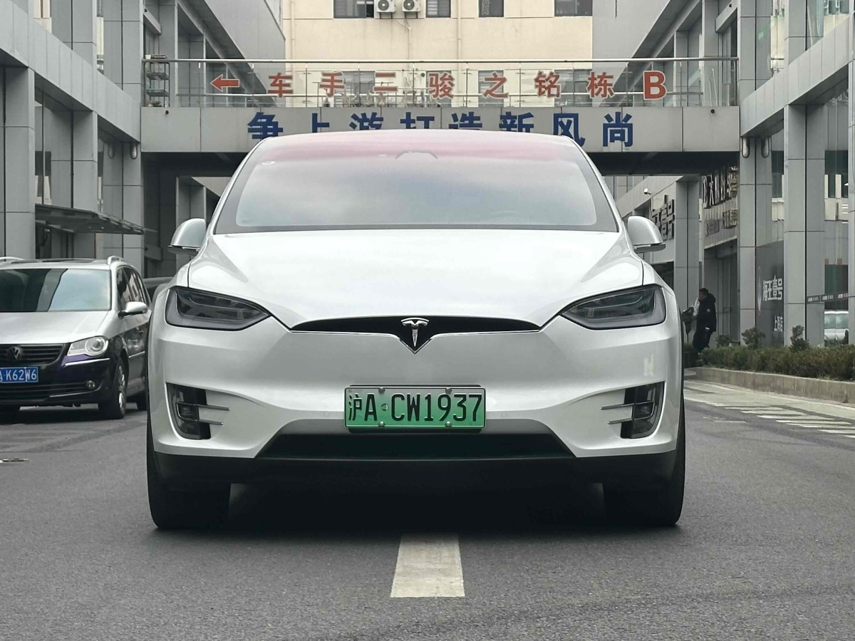 特斯拉 Model X  2020款 長續(xù)航升級(jí)版圖片