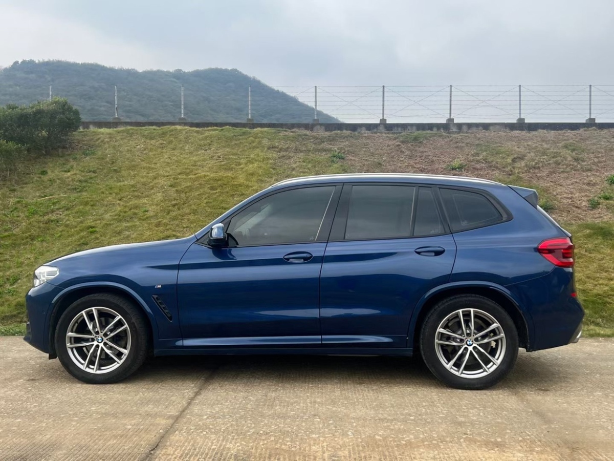 2019年02月宝马 宝马X3  2019款  xDrive25i M运动套装