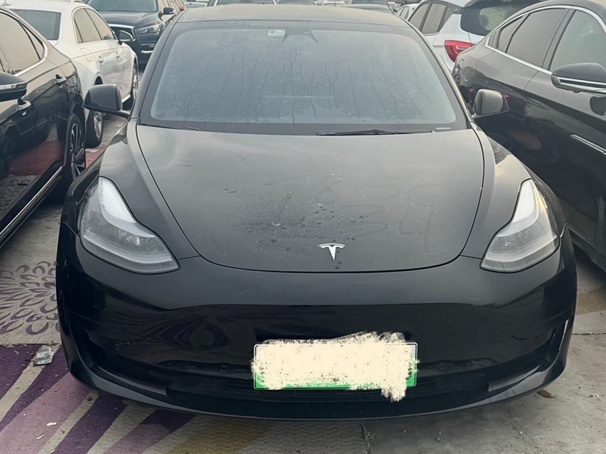 特斯拉 Model 3  2021款 改款 標(biāo)準(zhǔn)續(xù)航后驅(qū)升級(jí)版圖片